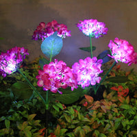 Triple Hydrangea Purple