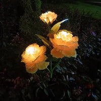 Triple Peony Yellow