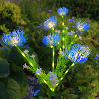 Triple Lycoris Blue