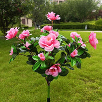 Solar model azalea pink