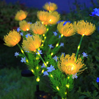 Triple Lycoris Yellow
