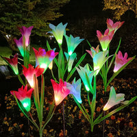 4pcs Lily AutoColor