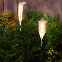 Reed Lamp Warm