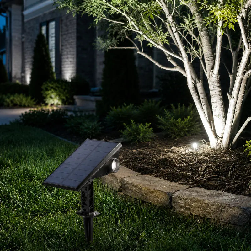 Solar-powered outdoor light fixture illuminating a garden area at night.