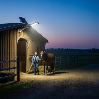 Person standing next to a horse in front of a wooden stable with a solar light on a clear night.