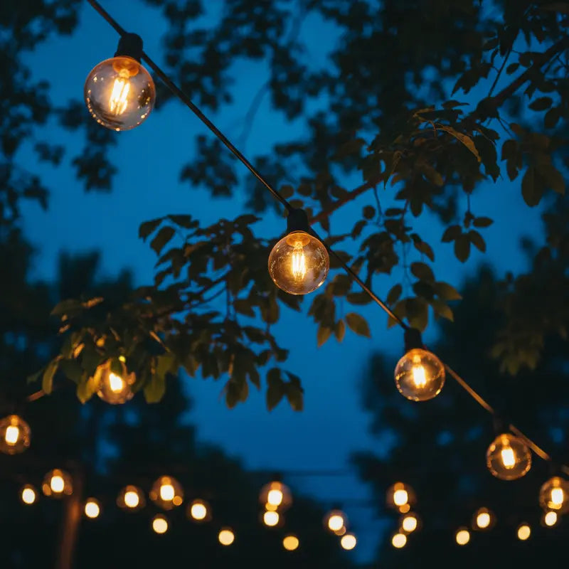 String lights hanging among trees against a dark blue sky