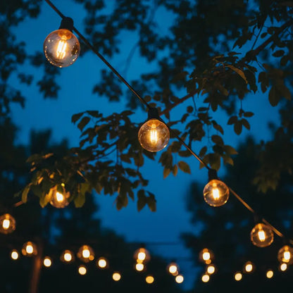String lights hanging among trees against a dark blue sky