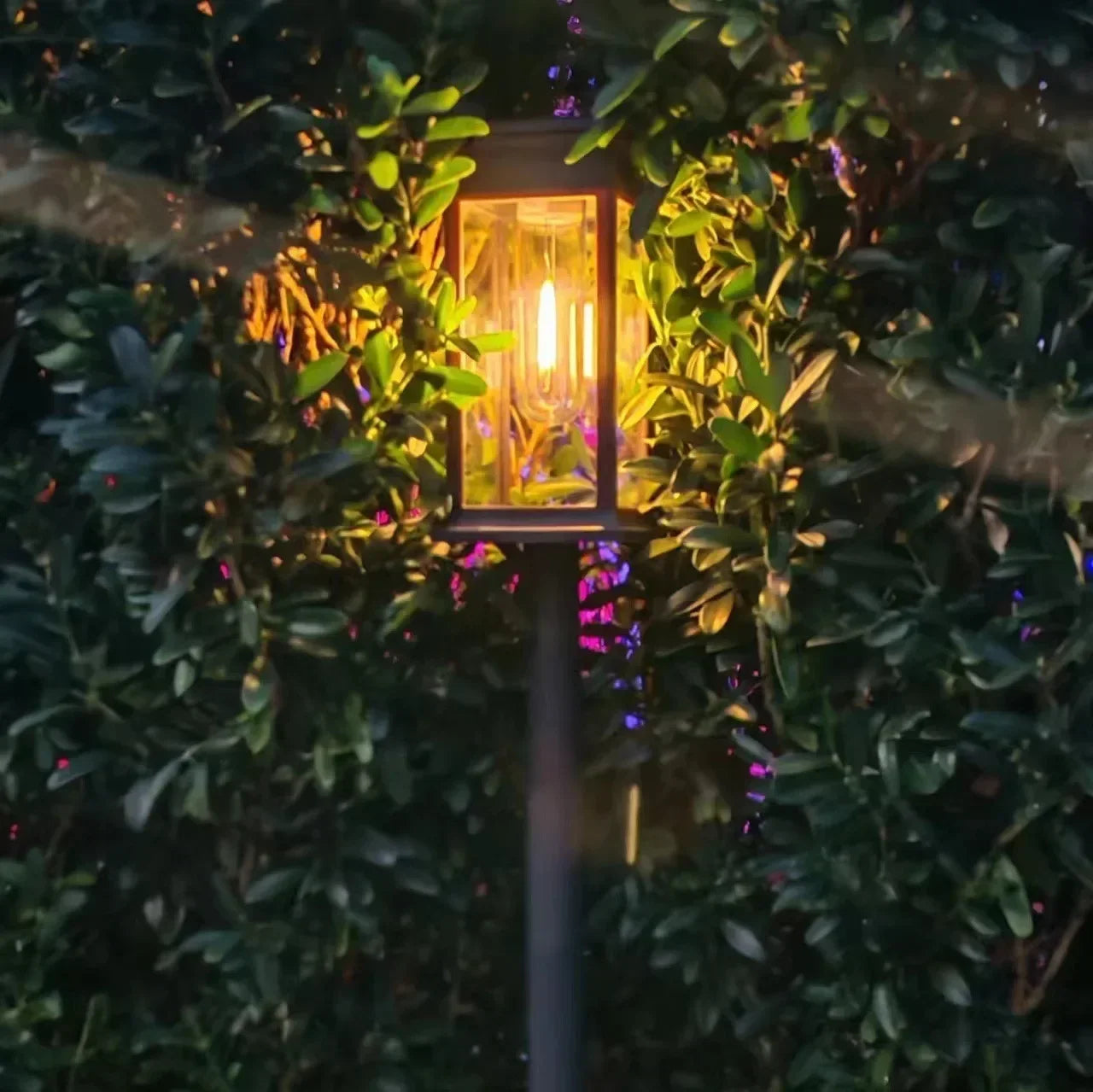 Vintage Solar Pathway Lights for Garden Walkways & Lawn Edges – 4/6/8 Pack
