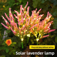 Lavender Pink