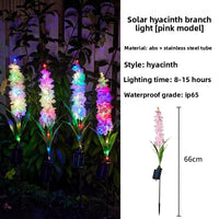 Hyacinth Pink