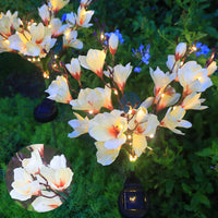 Magnolia White